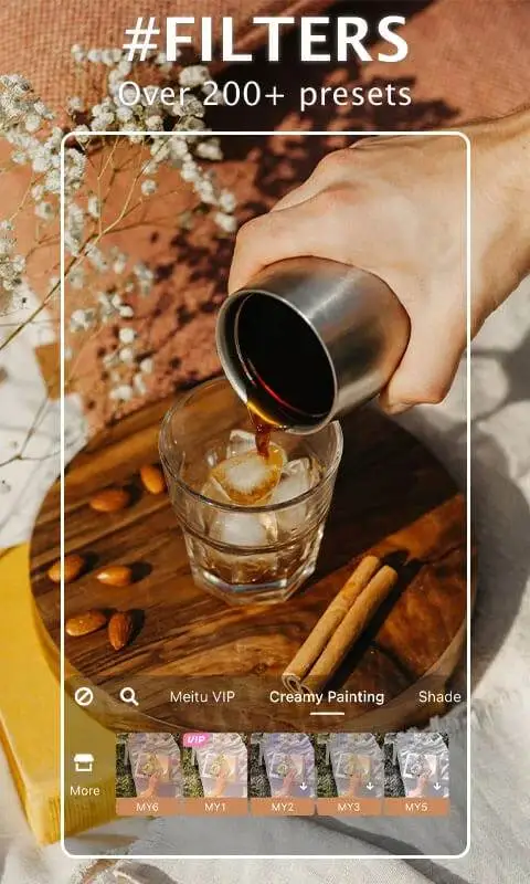 Meitu Mod APK Filters